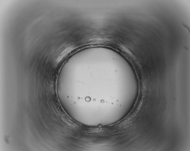 X0000100211259200806201436