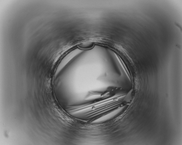 X0000100211260200806201436