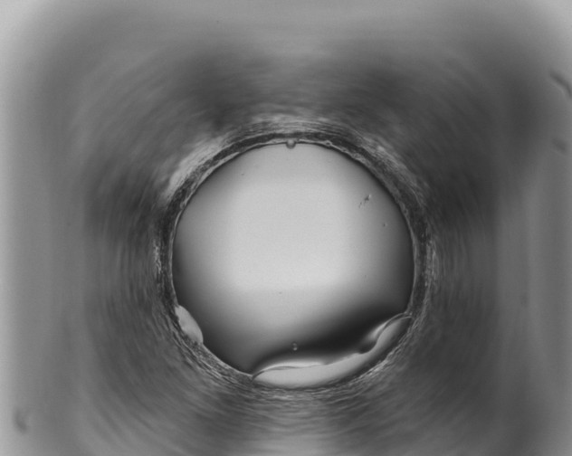 X0000100211261200806201436