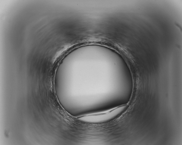 X0000100211262200806201436