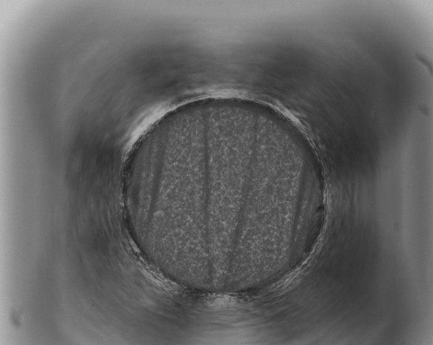 X0000100211263200806201436