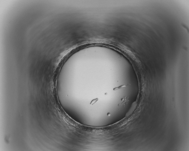 X0000100211264200806201436