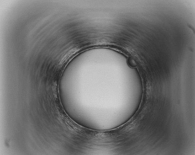 X0000100211265200806201436