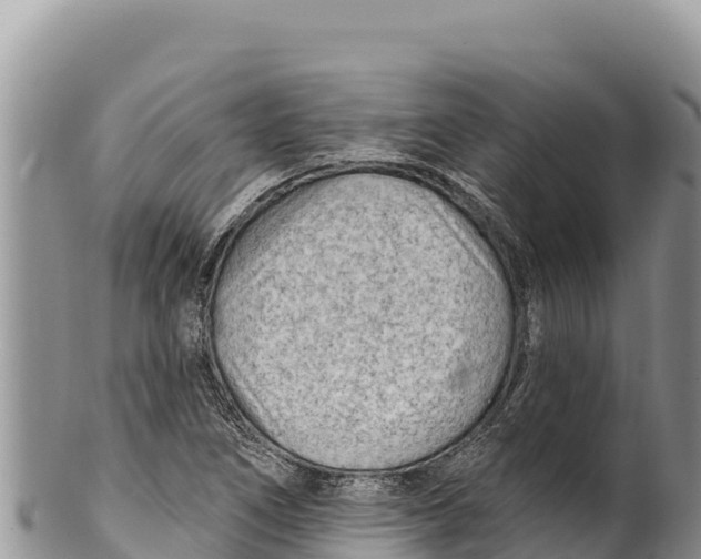 X0000100211266200806201436