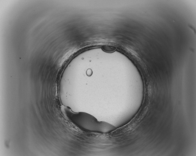 X0000100211267200806201436