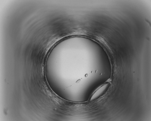 X0000100211268200806201436