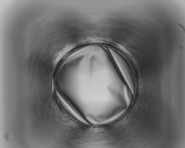 X0000100211269200806201436