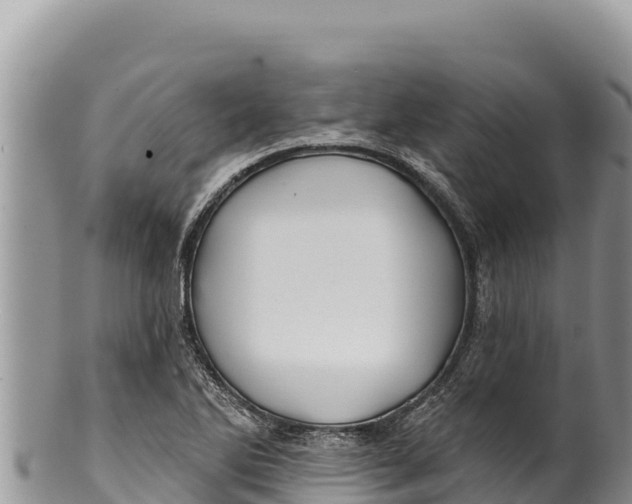 X0000100211270200806201436