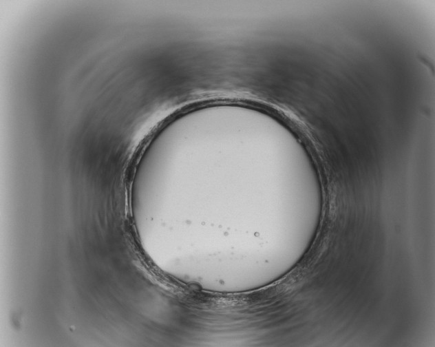 X0000100211271200806201436