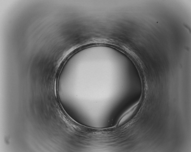 X0000100211272200806201436