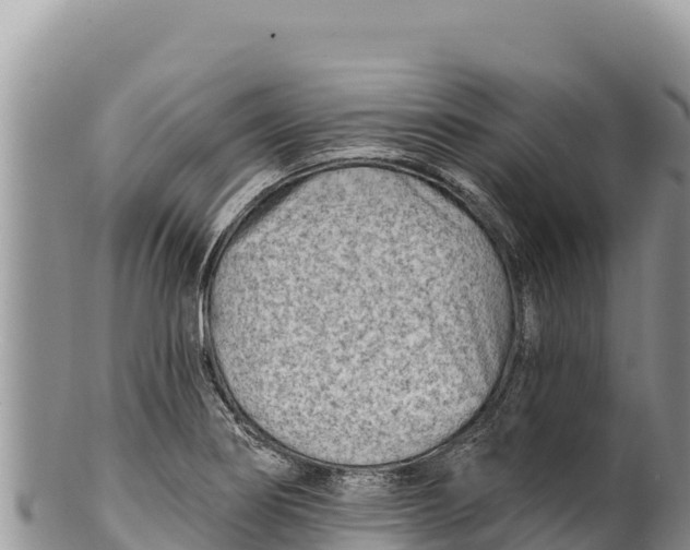 X0000100211274200806201436