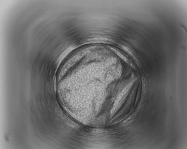 X0000100211275200806201436