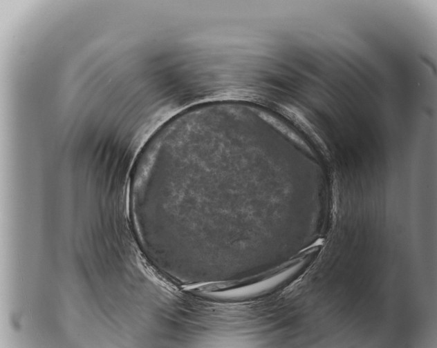 X0000100211276200806201436