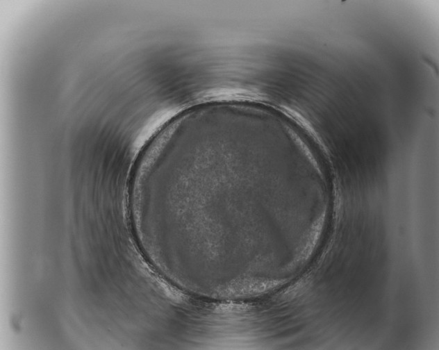 X0000100211277200806201436