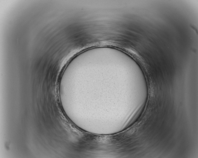 X0000100211278200806201436