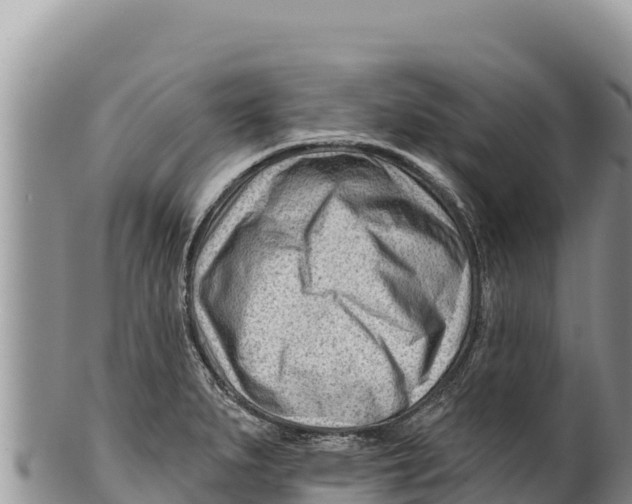 X0000100211279200806201436