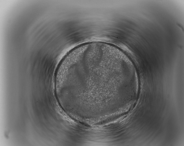 X0000100211280200806201436