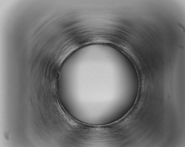 X0000100211281200806201436