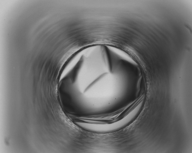 X0000100211284200806201436