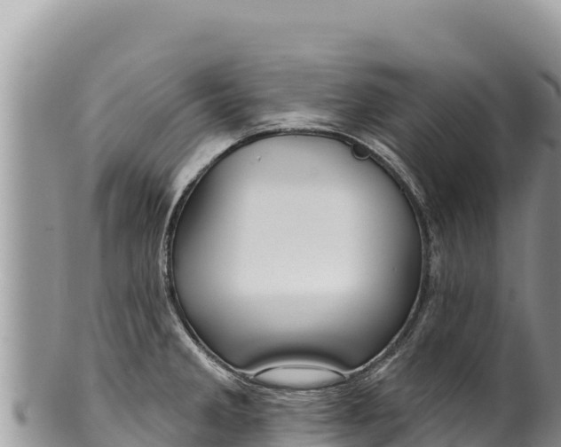 X0000100211285200806201436