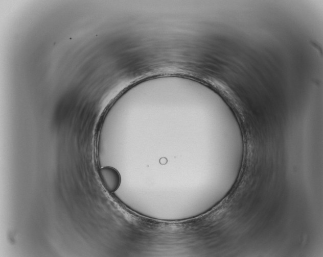 X0000100211286200806201436