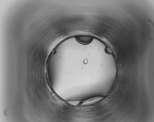 X0000100211287200806201436