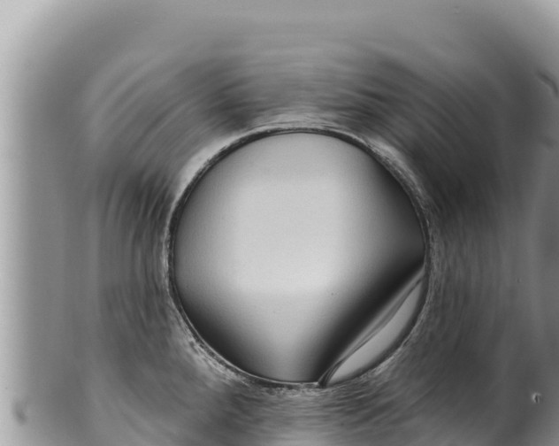 X0000100211288200806201436