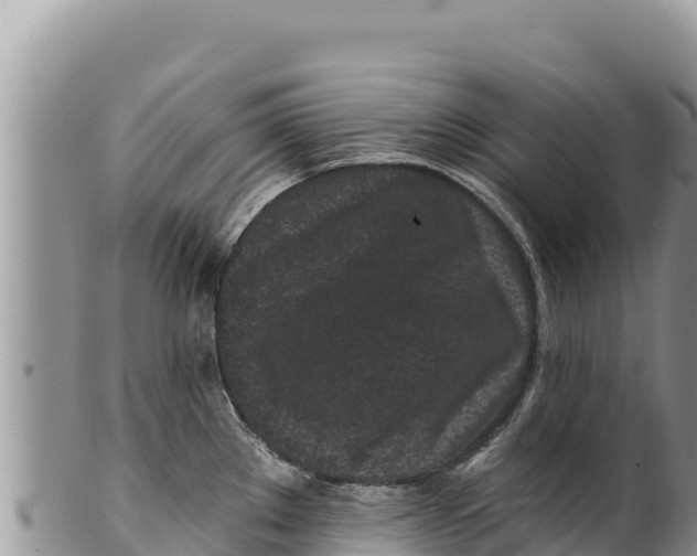 X0000100211289200806201436