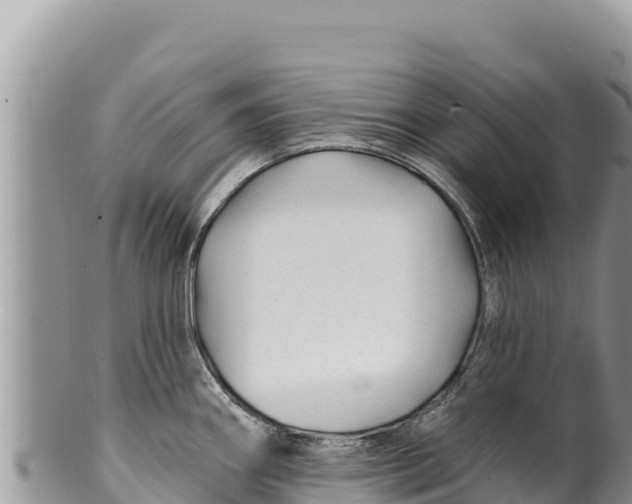 X0000100211290200806201436