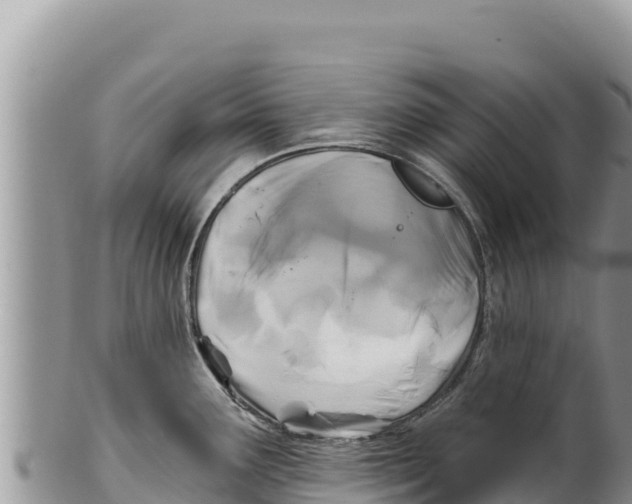 X0000100211291200806201436