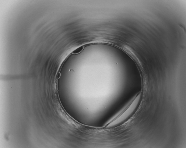 X0000100211292200806201436