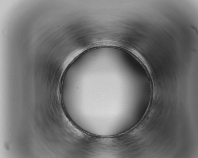 X0000100211293200806201436