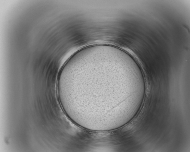 X0000100211294200806201436