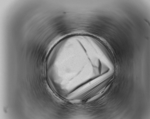 X0000100211295200806201436