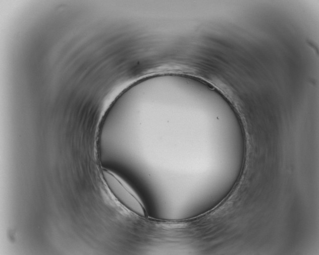 X0000100211296200806201436