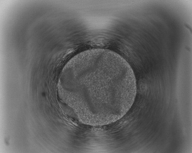 X0000100211297200806201435