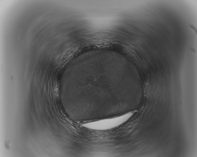 X0000100211298200806201435