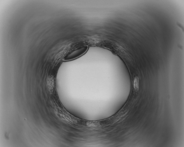 X0000100211299200806201435