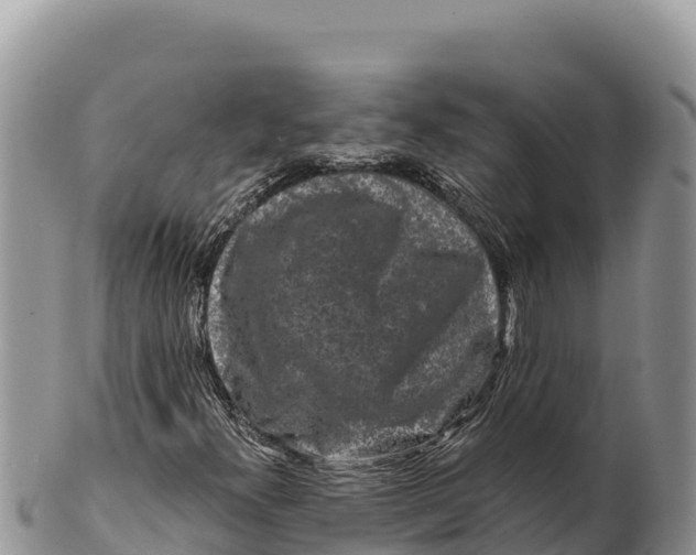 X0000100211300200806201435