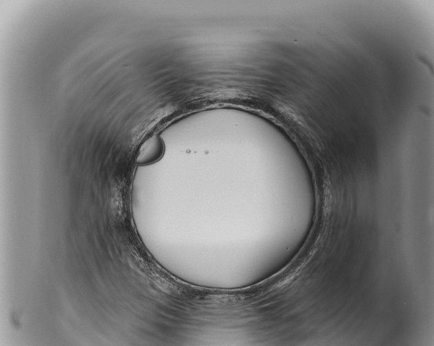 X0000100211305200806201435