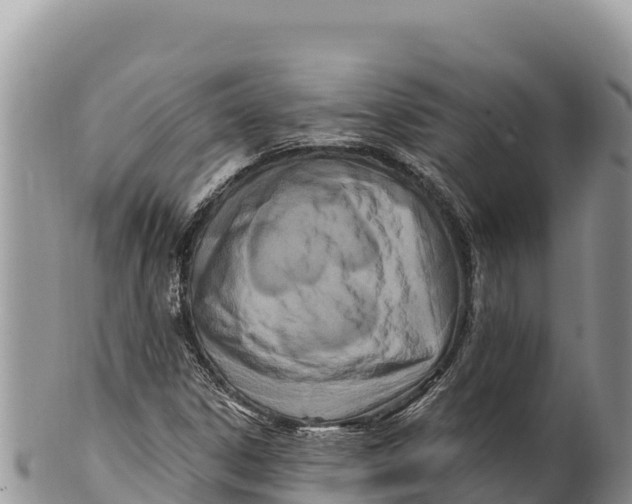 X0000100211306200806201435