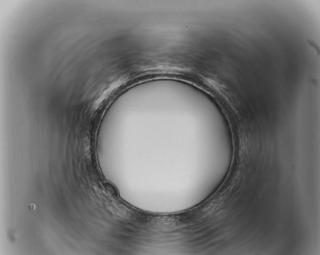 X0000100211307200806201435