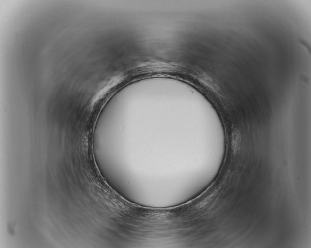 X0000100211309200806201435