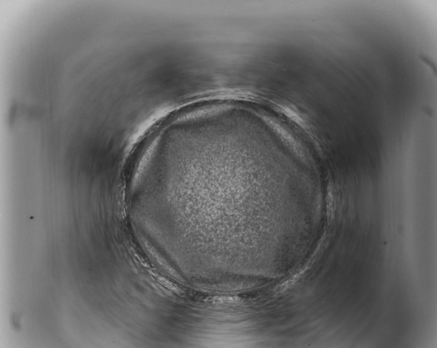 X0000100211310200806201435