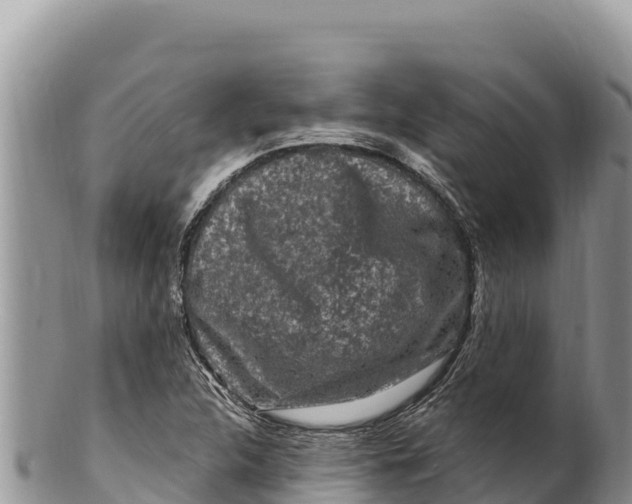 X0000100211312200806201435