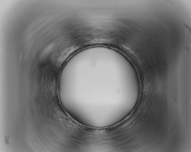 X0000100211313200806201435