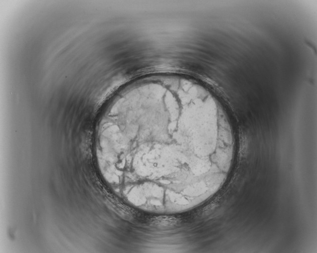 X0000100211314200806201435