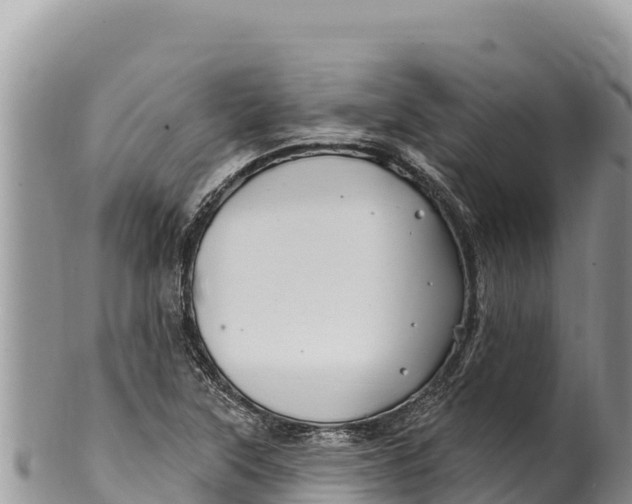 X0000100211315200806201435