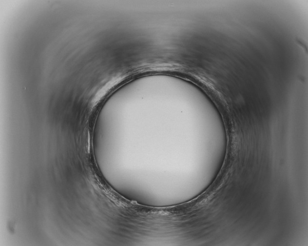 X0000100211317200806201436