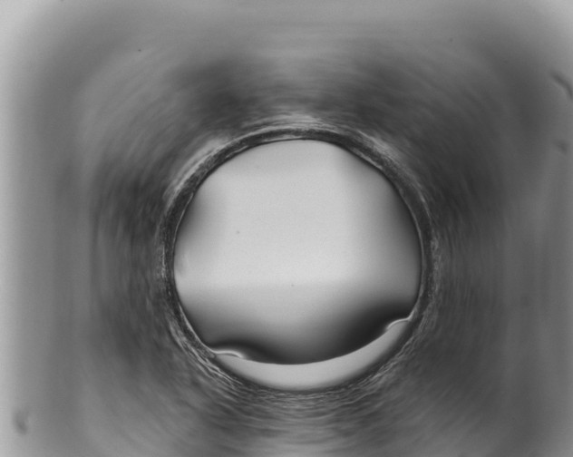 X0000100211318200806201436